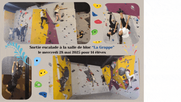 Design sans titre(3)(1)(1).gif